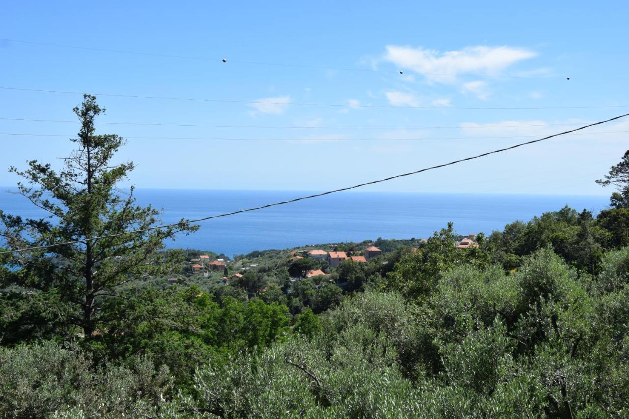 Tra Gli Ulivi Da Giacinta
